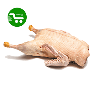 jinukun store  Canard