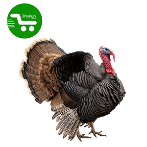 jinukun store  Dindon