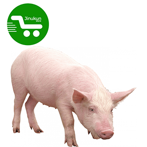 jinukun store  Porc entier